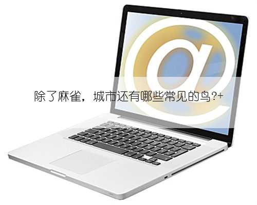 除了麻雀，城市还有哪些常见的鸟?