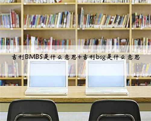 吉利BMBS是什么意思 吉利bsg是什么意思