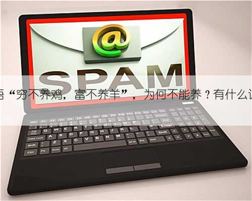 农村俗语“穷不养鸡，富不养羊”，为何不能养？有什么讲究吗？