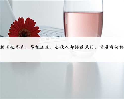 他掌握百亿资产，草根逆袭，合伙人却惨遭灭门，背后有何秘密？