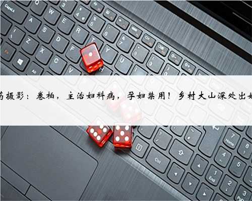 中草药摄影：卷柏，主治妇科病，孕妇禁用！乡村大山深处出好药！