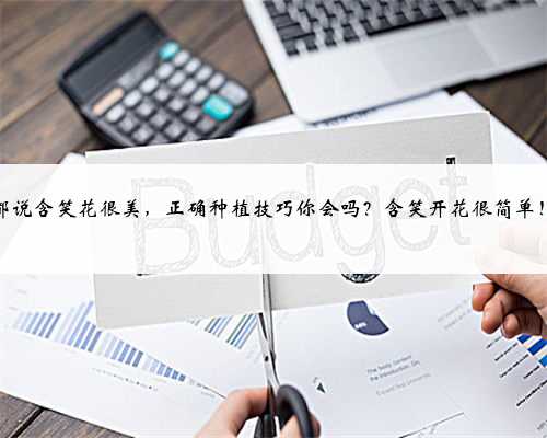 都说含笑花很美，正确种植技巧你会吗？含笑开花很简单！