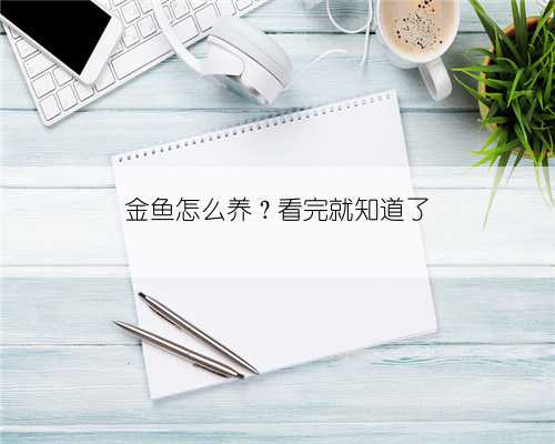 金鱼怎么养？看完就知道了