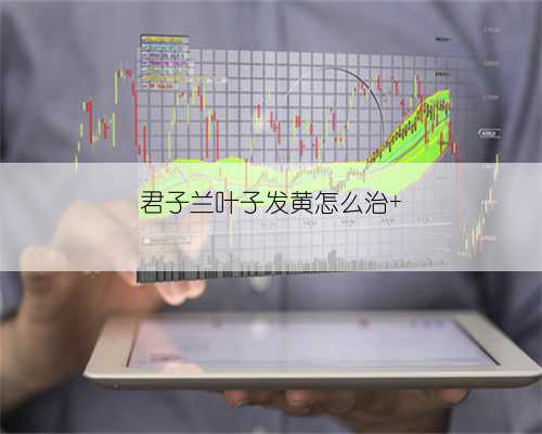 君子兰叶子发黄怎么治