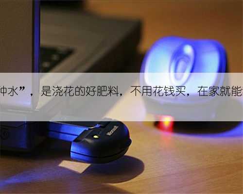 养花“4种水”，是浇花的好肥料，不用花钱买，在家就能制作肥料