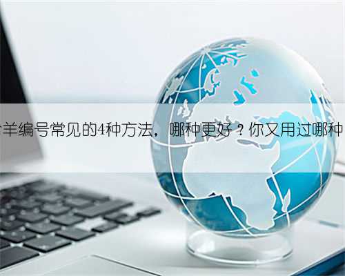 给羊编号常见的4种方法，哪种更好？你又用过哪种？