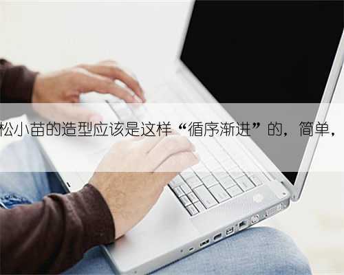 罗汉松小苗的造型应该是这样“循序渐进”的,简单,易行