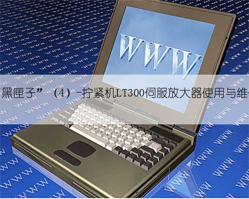 打开“黑匣子”（4）-拧紧机LT300伺服放大器使用与维修说明