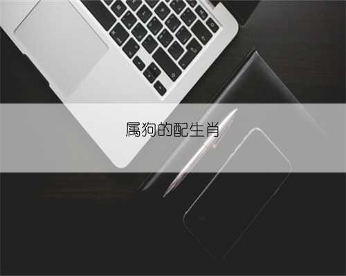 属狗的配生肖