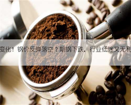 政策重大变化！钢价反弹落空？期钢下跌，行业低迷又无利润空间！