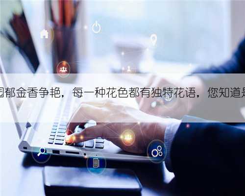 世园公园郁金香争艳，每一种花色都有独特花语，您知道是什么吗