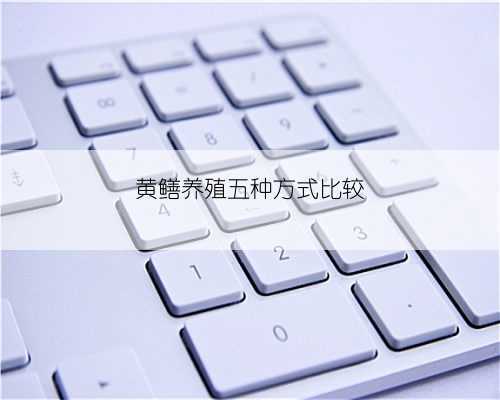 黄鳝养殖五种方式比较