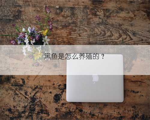 黑鱼是怎么养殖的？