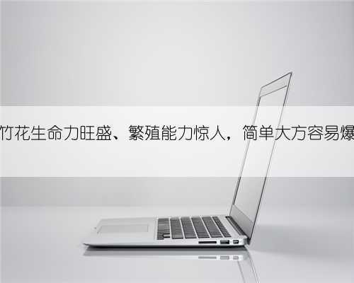石竹花生命力旺盛、繁殖能力惊人，简单大方容易爆盆