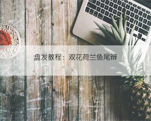 盘发教程:双花荷兰鱼尾辫