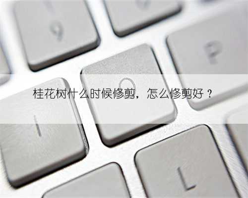 桂花树什么时候修剪,怎么修剪好?
