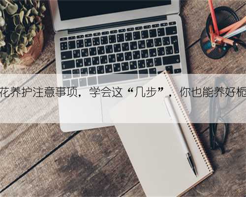 栀子花养护注意事项,学会这“几步”,你也能养好栀子花