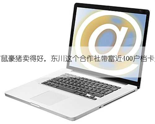 竹鼠豪猪卖得好，东川这个合作社带富近400户档卡户