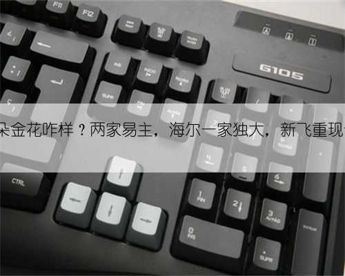 冰箱界4朵金花咋样？两家易主，海尔一家独大，新飞重现昔日辉煌