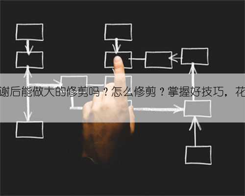 栀子花凋谢后能做大的修剪吗?怎么修剪?掌握好技巧,花期更长久