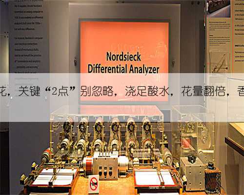 养栀子花，关键“2点”别忽略，浇足酸水，花量翻倍，香味十足
