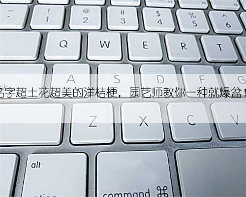 名字超土花超美的洋桔梗,园艺师教你一种就爆盆!