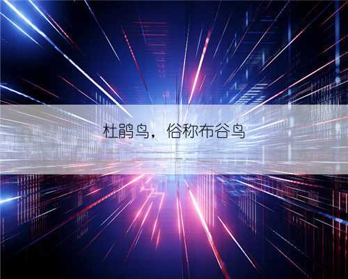 杜鹃鸟，俗称布谷鸟