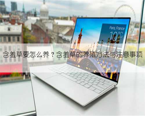 含羞草要怎么养?含羞草的养殖方法与注意事项