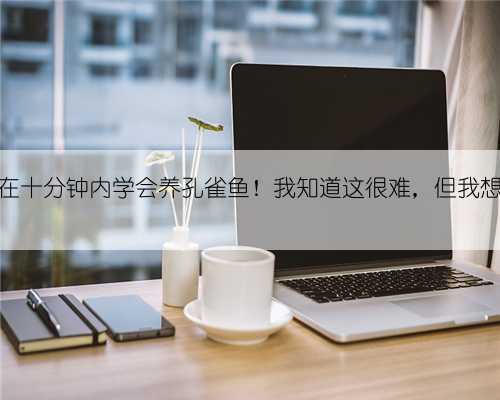让你在十分钟内学会养孔雀鱼！我知道这很难，但我想试试