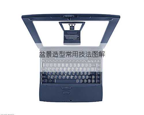 盆景造型常用技法图解