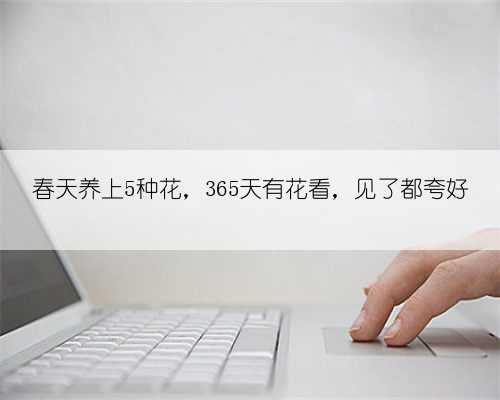 春天养上5种花，365天有花看，见了都夸好