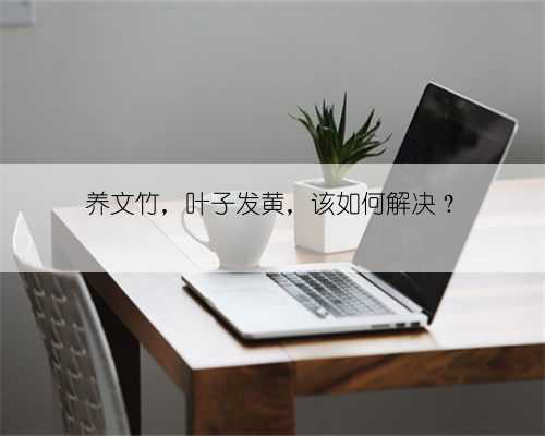 养文竹,叶子发黄,该如何解决?