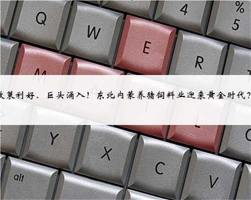 政策利好、巨头涌入!东北内蒙养猪饲料业迎来黄金时代?