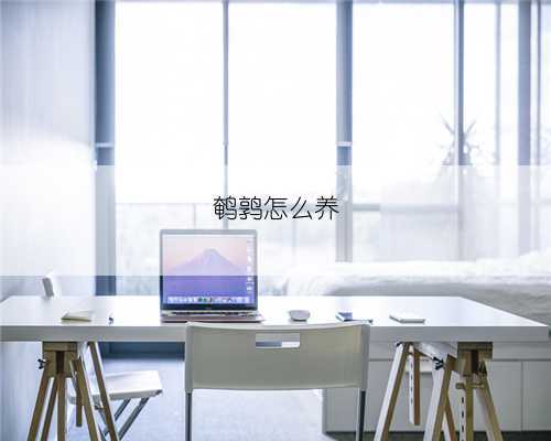 鹌鹑怎么养