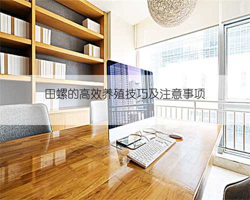 田螺的高效养殖技巧及注意事项