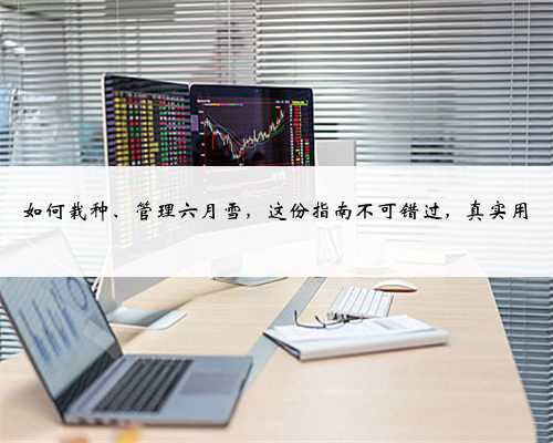 如何栽种、管理六月雪,这份指南不可错过,真实用
