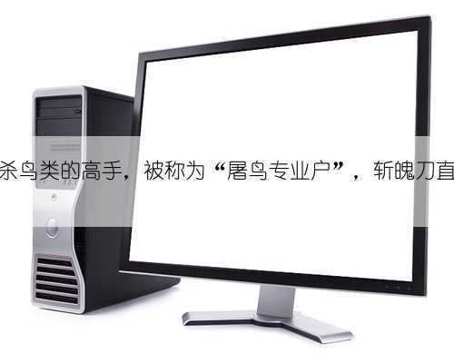 他是专杀鸟类的高手，被称为“屠鸟专业户”，斩魄刀直接封神