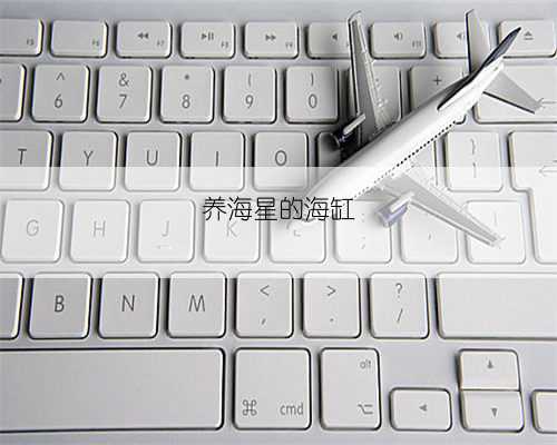 养海星的海缸