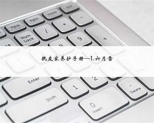 执友家养护手册—1.六月雪