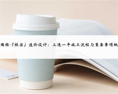 张国栋（栋梁）造价设计：三通一平施工流程与重要事项概览