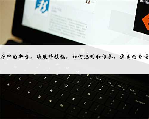 厨房中的新贵，珐琅铸铁锅，如何选购和保养，您真的会吗？