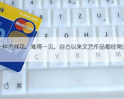 并蒂莲花是一种吉祥花，难得一见，自古以来文艺作品都经常出现这种荷花