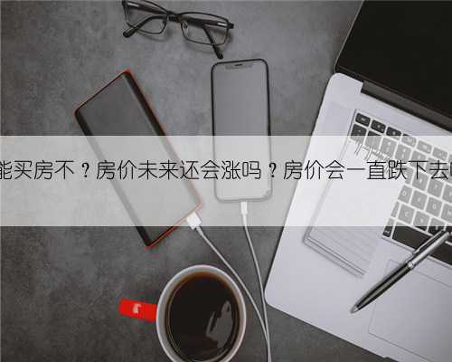 现在还能买房不?房价未来还会涨吗?房价会一直跌下去吗?...