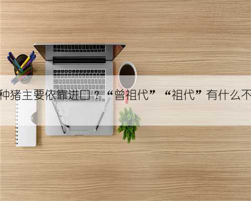 我国种猪主要依靠进口？“曾祖代”“祖代”有什么不同？