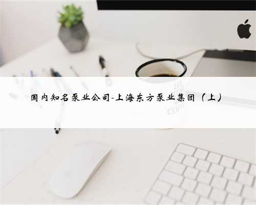 国内知名泵业公司-上海东方泵业集团(上)