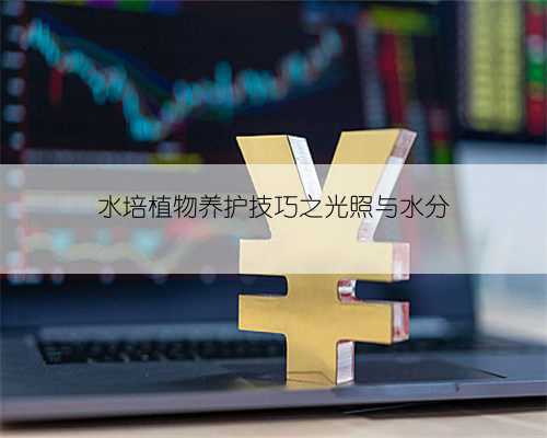 水培植物养护技巧之光照与水分