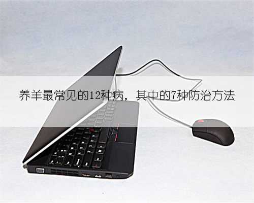 养羊最常见的12种病，其中的7种防治方法