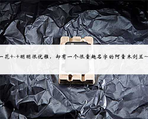 每日一花 - 明明很优雅，却有一个很童趣名字的阿童木剑兰~vol.5