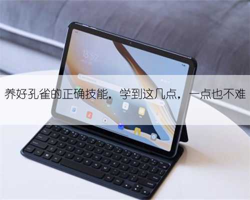 养好孔雀的正确技能，学到这几点，一点也不难