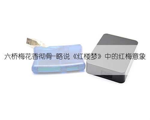 六桥梅花香彻骨-略说《红楼梦》中的红梅意象
